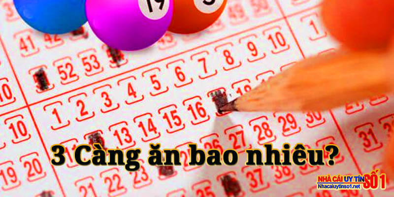 3 càng ăn bao nhiêu